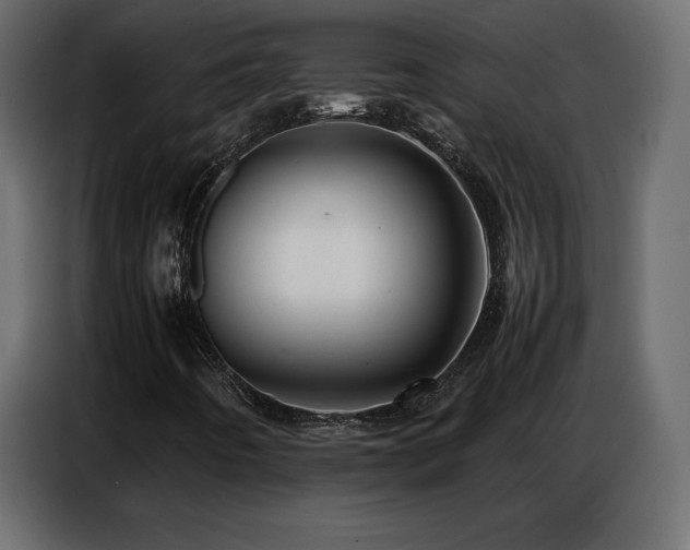 X0000086741442200704131118