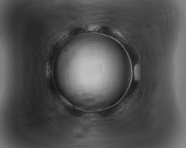 X0000086741443200704131118