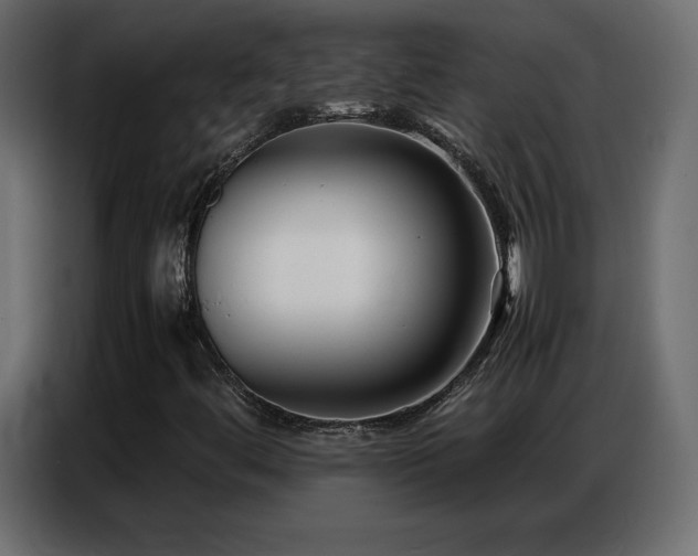 X0000086741444200704131118