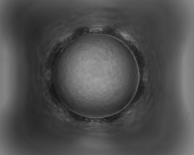 X0000086741445200704131118