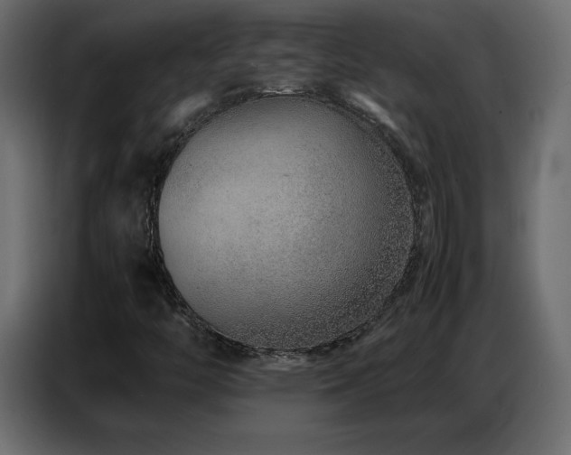 X0000086741446200704131118
