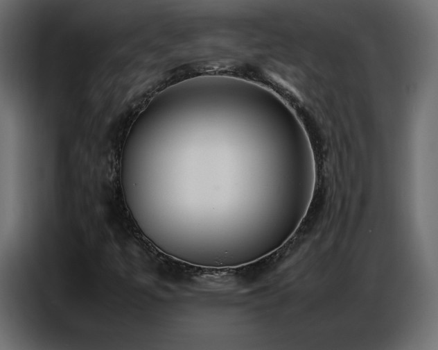 X0000086741447200704131118