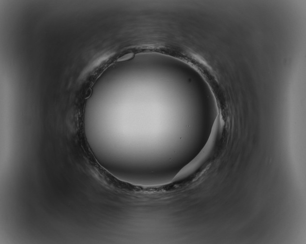 X0000086741448200704131118