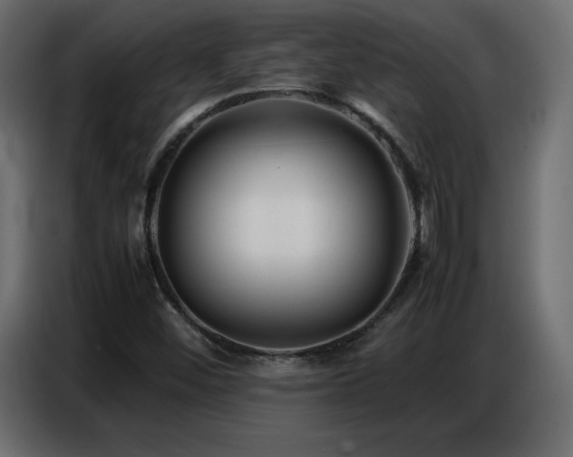 X0000086741452200704131118