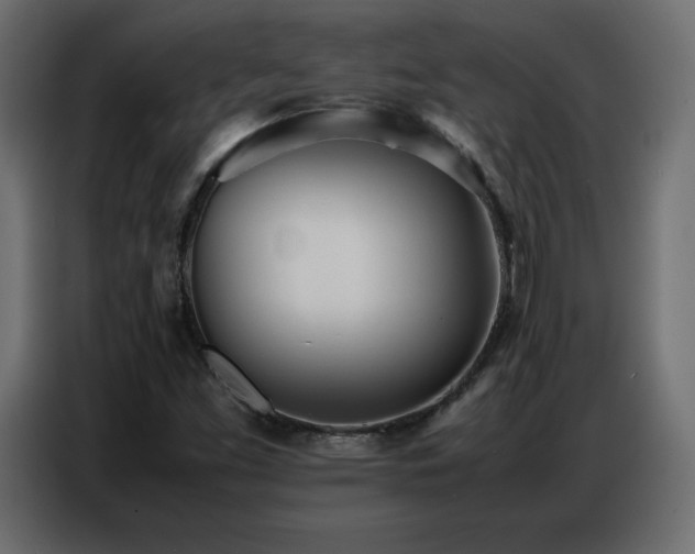 X0000086741453200704131118
