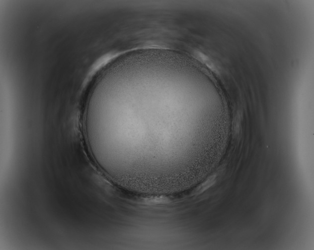 X0000086741454200704131118