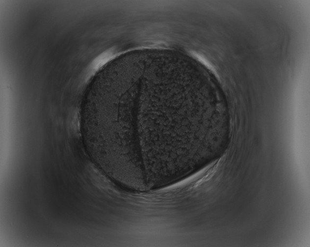 X0000086741455200704131118