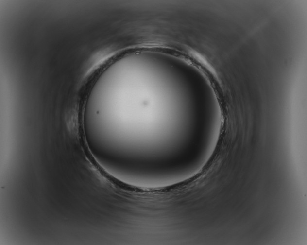 X0000086741456200704131118