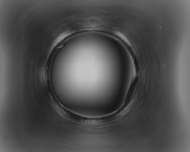 X0000086741458200704131118