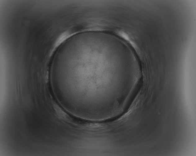 X0000086741459200704131118