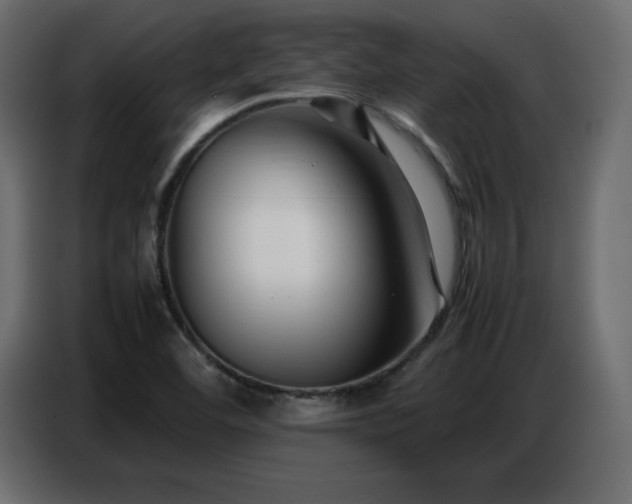 X0000086741460200704131118