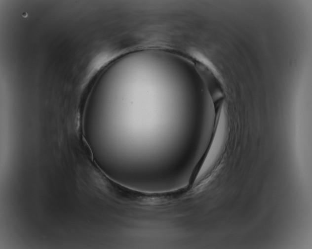 X0000086741461200704131118