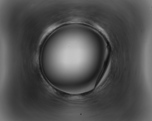 X0000086741464200704131118