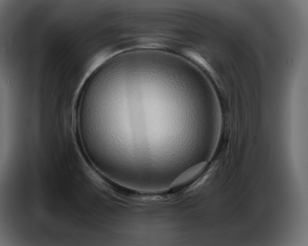 X0000086741467200704131118