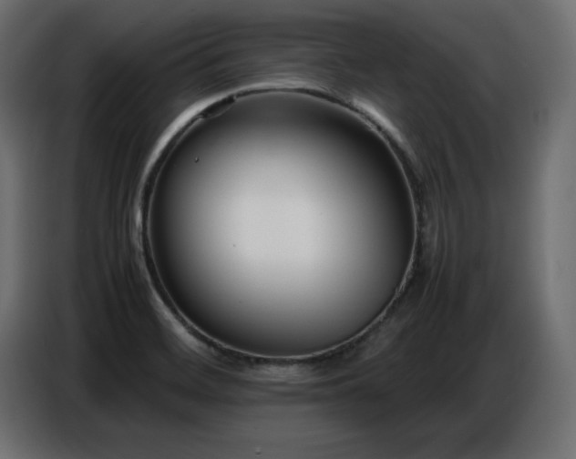 X0000086741468200704131118