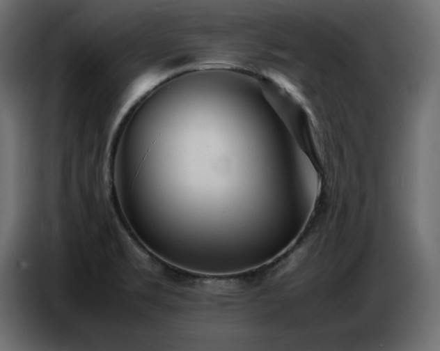 X0000086741469200704131118