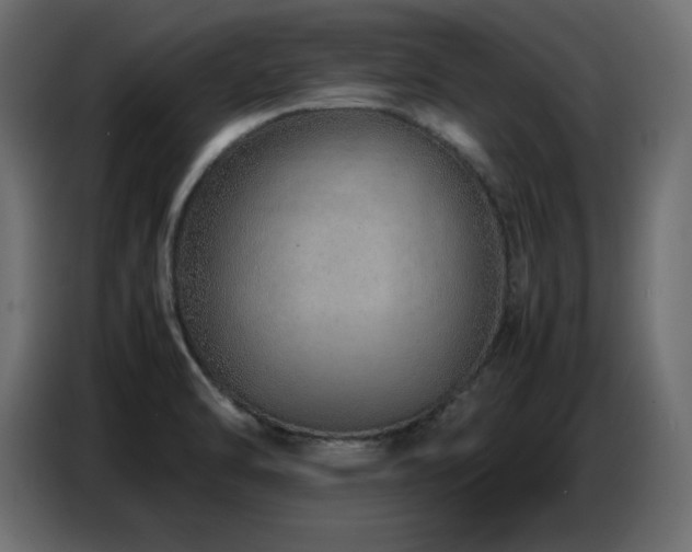 X0000086741470200704131118