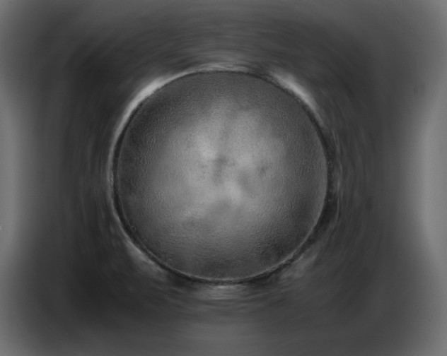 X0000086741471200704131118