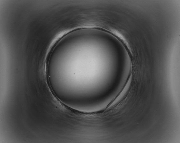 X0000086741472200704131118