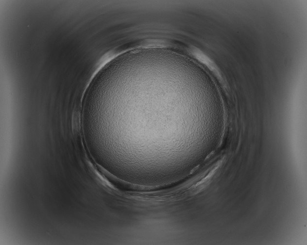 X0000086741473200704131118