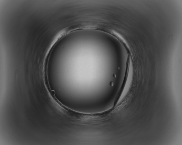 X0000086741475200704131118