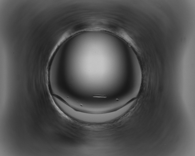 X0000086741476200704131117
