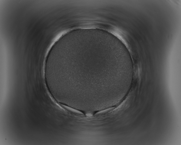 X0000086741477200704131117