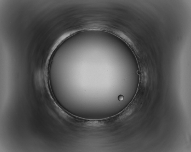 X0000086741478200704131117