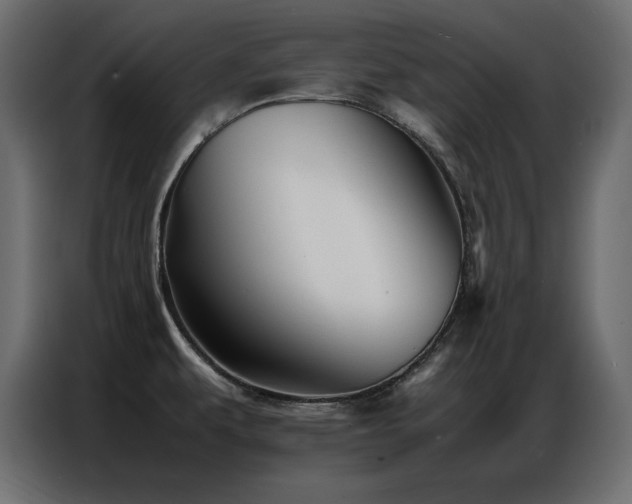 X0000086741479200704131117