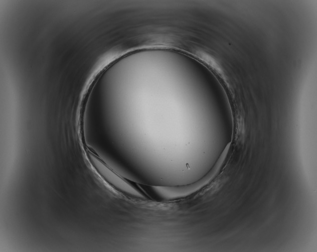 X0000086741480200704131117