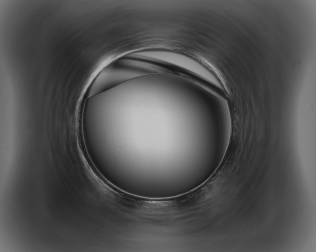 X0000086741483200704131117