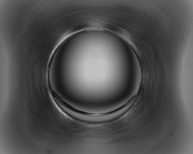 X0000086741484200704131117