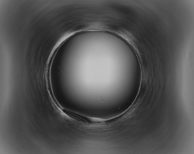 X0000086741486200704131117