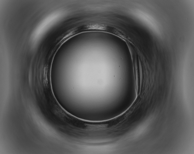 X0000086741487200704131117