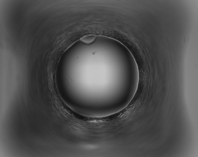 X0000086741489200704131117