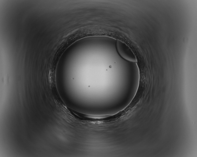 X0000086741490200704131117
