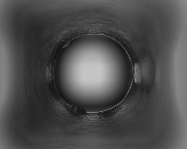 X0000086741491200704131117