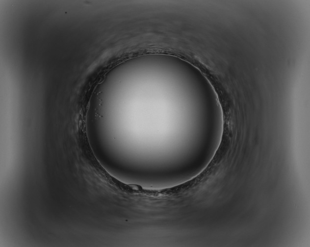 X0000086741495200704131117