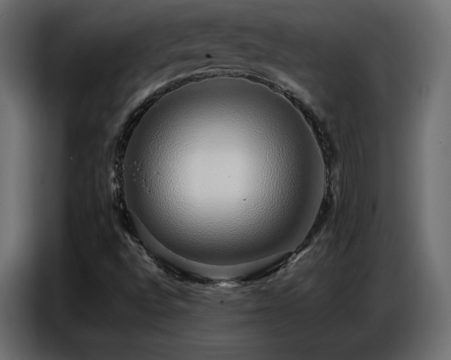 X0000086741496200704131117