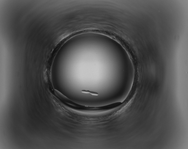 X0000086741497200704131117