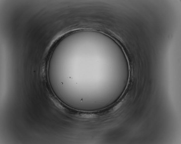 X0000086741498200704131117