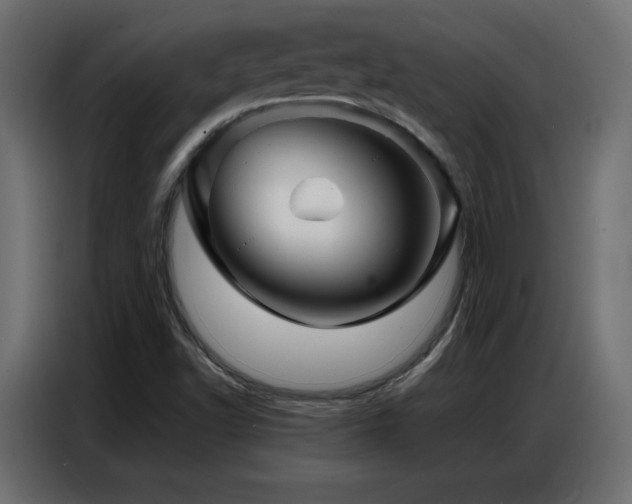 X0000086741502200704131117