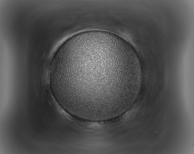 X0000086741504200704131117