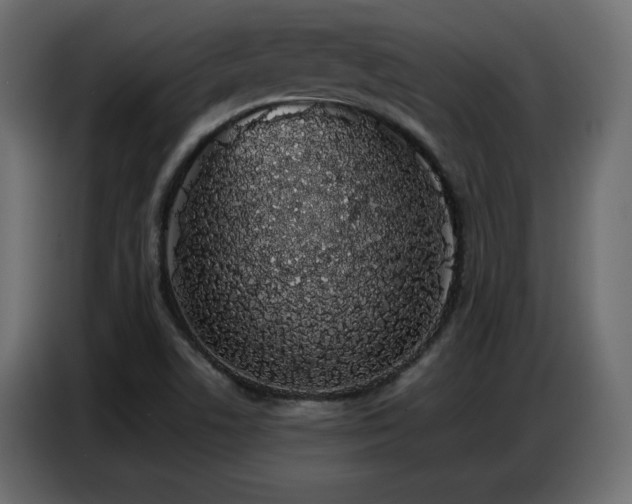 X0000086741506200704131117