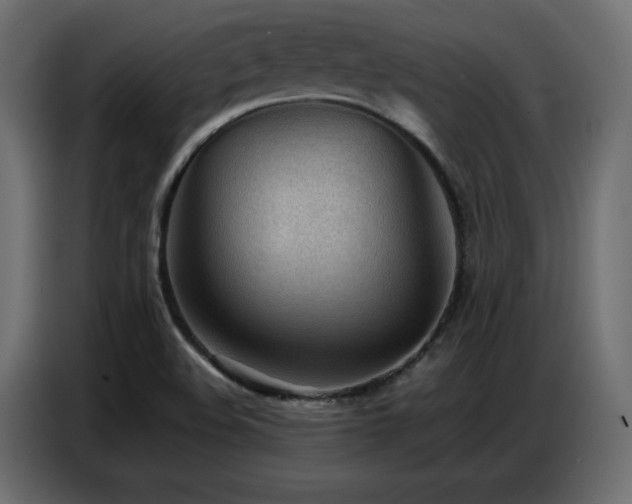 X0000086741508200704131117