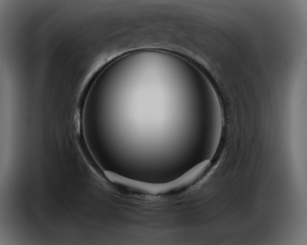 X0000086741509200704131117