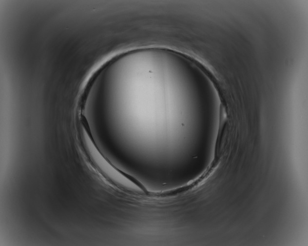 X0000086741510200704131117
