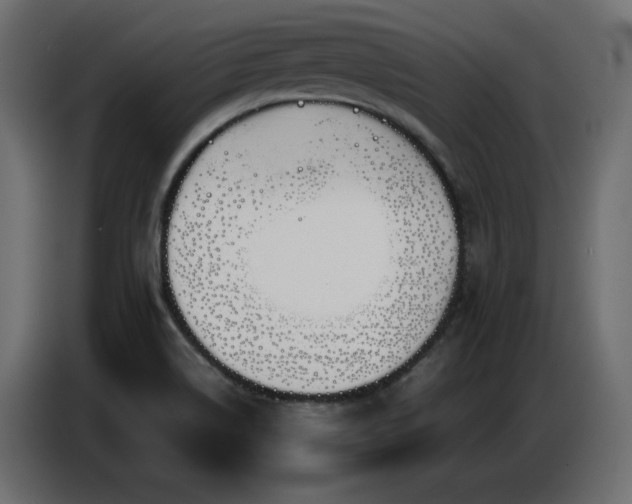 X0000086741514200704131117