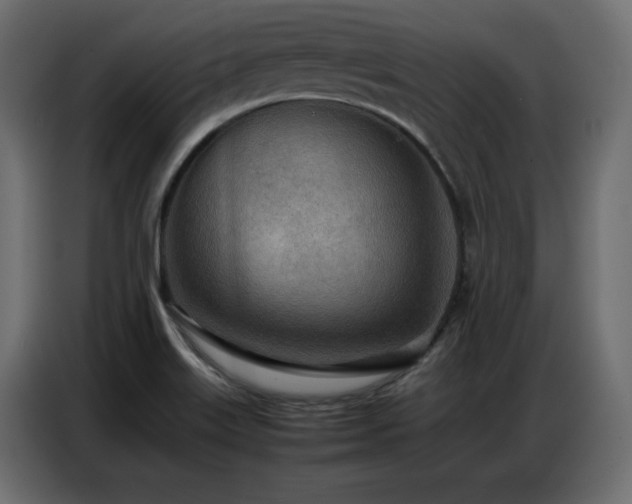 X0000086741515200704131117