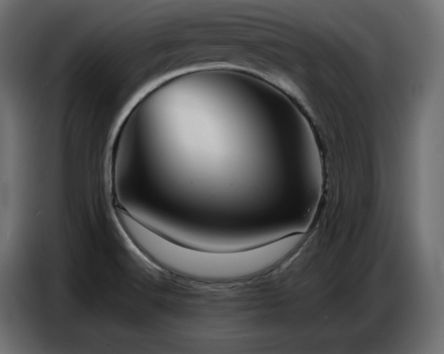 X0000086741516200704131117
